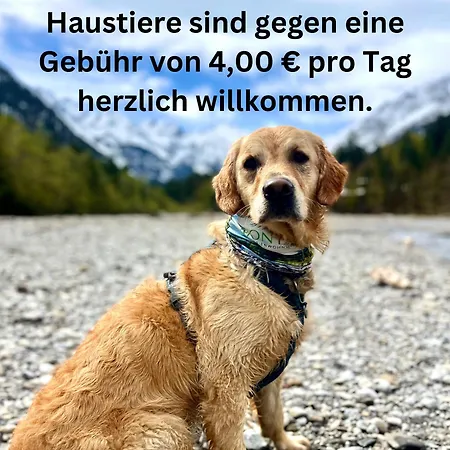Haus Baur, Fewo 37 Oder 38 Oberstdorf Buitenkant foto