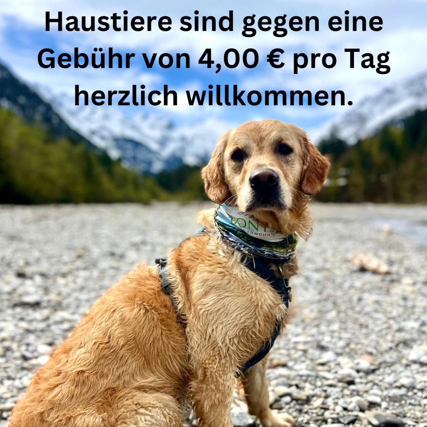 Haus Baur, 37 Oder 38 Appartement Oberstdorf